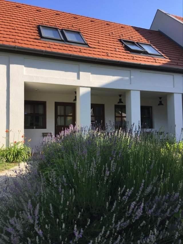 Villa Szent Jakab Vászoly Exterior photo